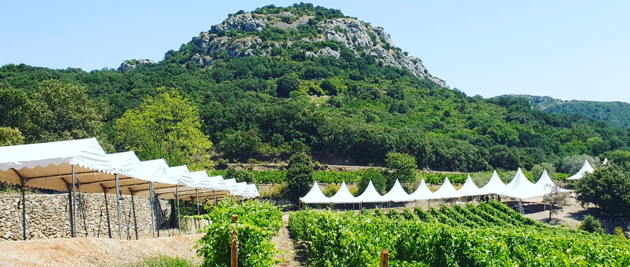 Location de tentes dans les Pyrénées Orientales pour une inauguration